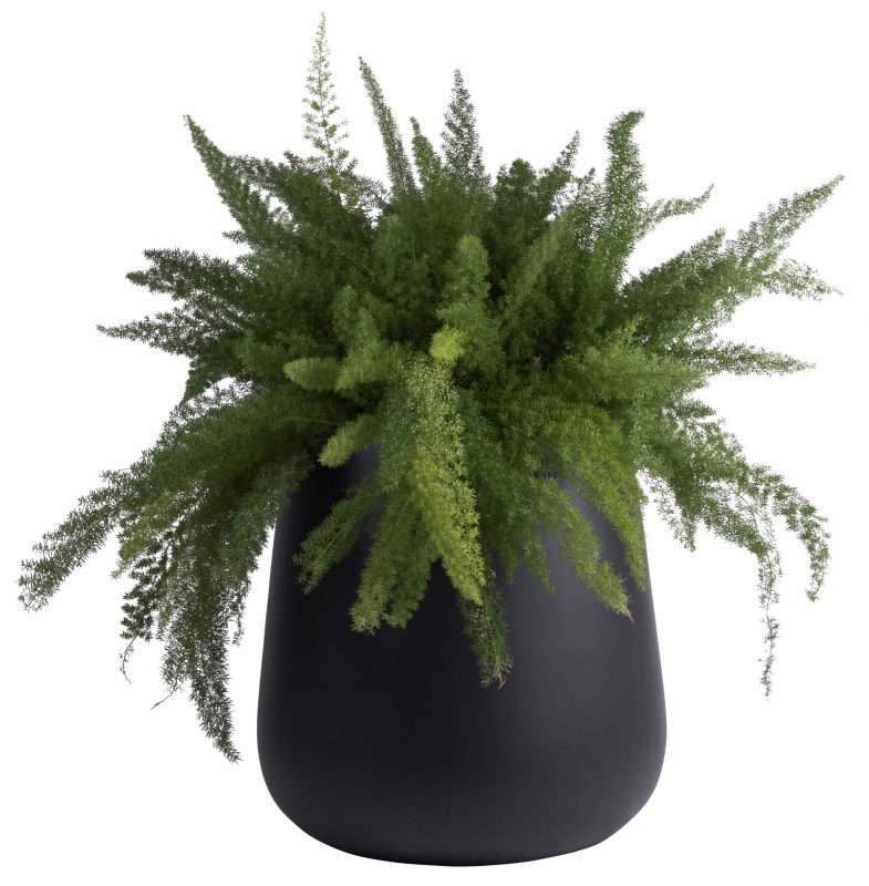 hippe zwarte bloempot