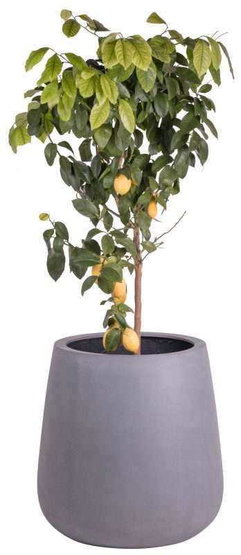 trendy grijze bloempot