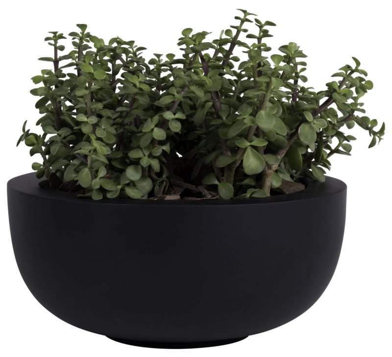 zwarte schaal zwarte bloempot