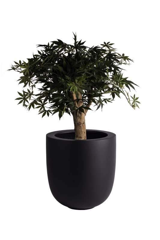 zwarte grote bloempot