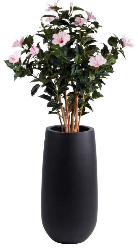 living zwarte bloempot met plant