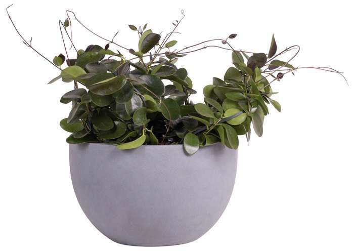 grote grijze schaal bloempot