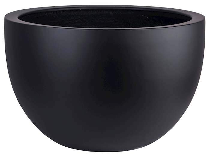 grote zwarte schaal