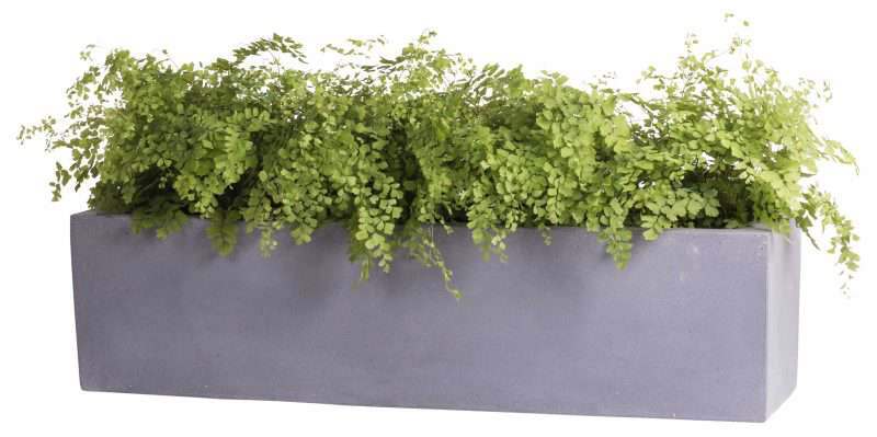 smalle brede plantenbak grijs