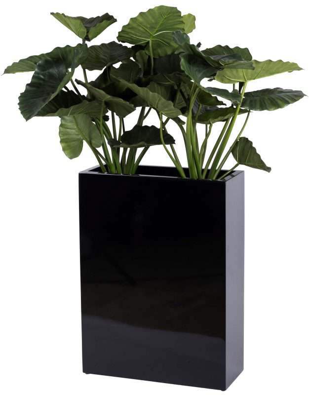 smalle brede plantenbak zwar