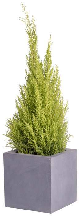 grijs vierkant potje