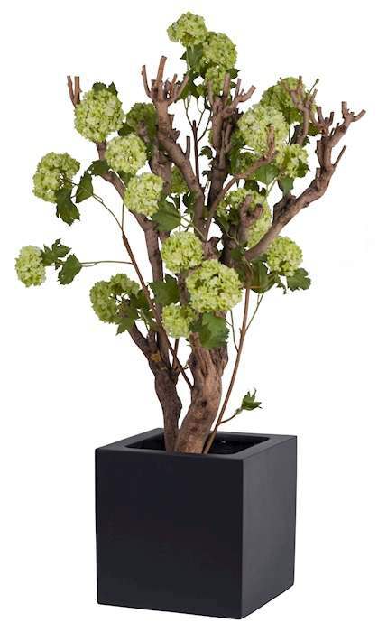 zwarte vierkante pot