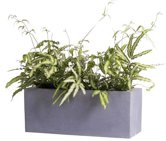 grote grijze rechthoekige plantenbak