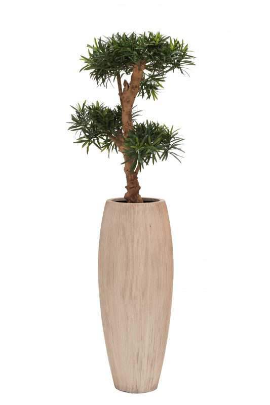 hoge smalle bloempot vaas