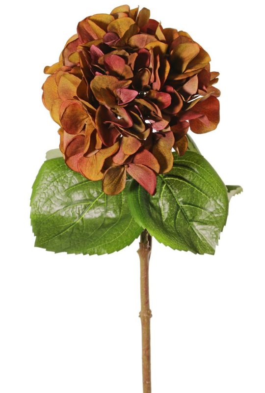 kunst hortensia