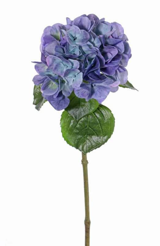 kunst hortensia