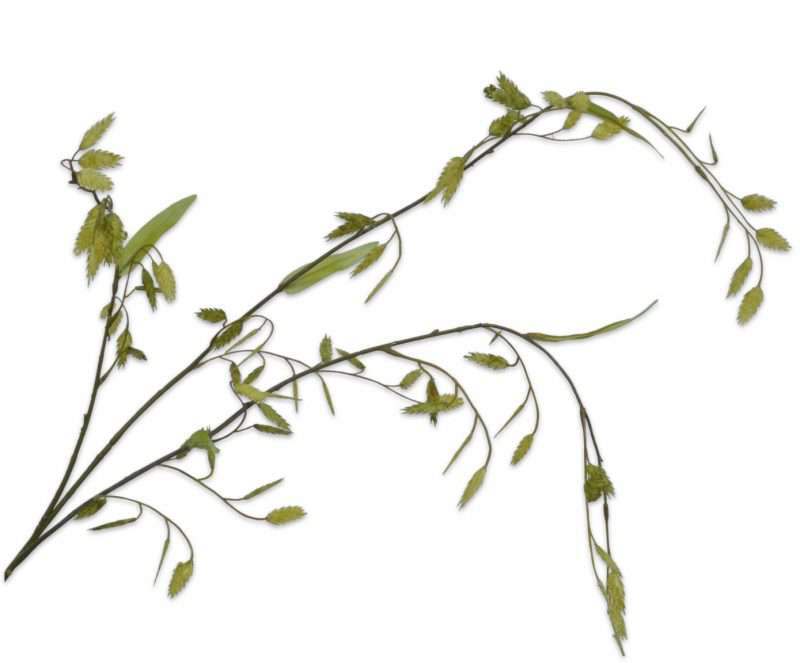 gras tak groen nepbloem