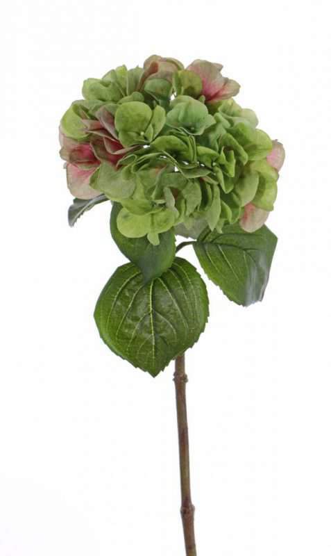 kunst hortensia