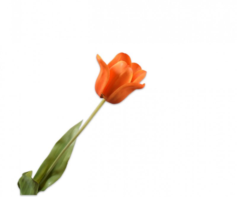 oranje kunsttulp