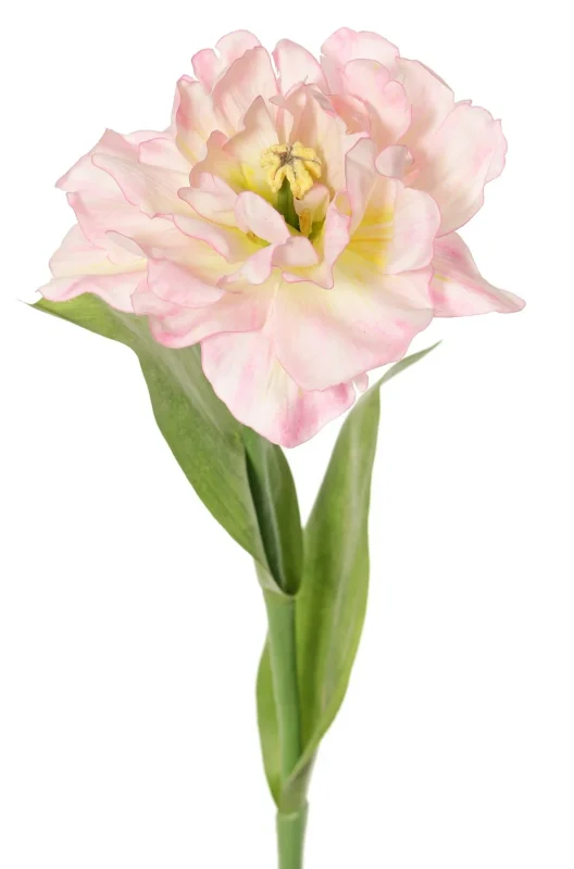 zacht roze kunst tulp