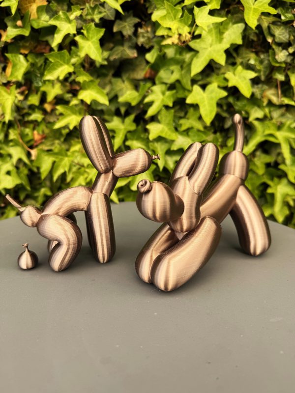 poepend ballon hondje